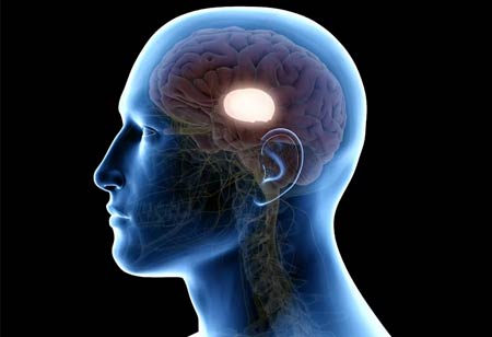 All about Brain Injuries and Concussions